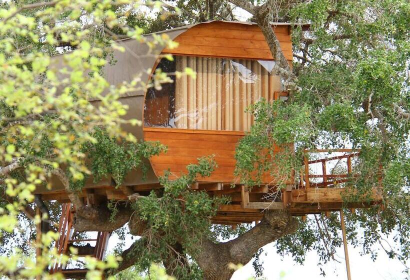 1间卧室的房子, Leopard Nest   Glamping In Yala
