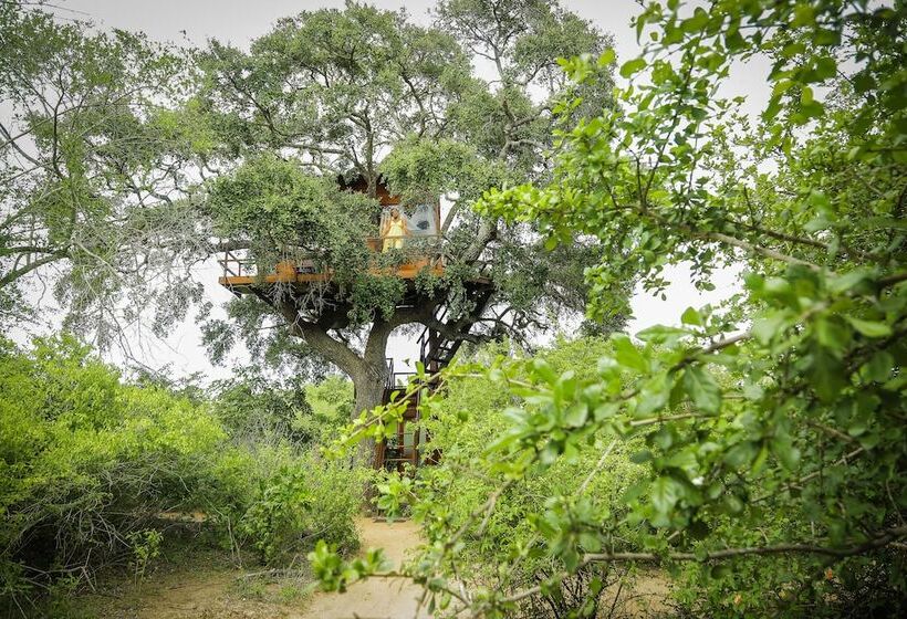 Дом 1 Спальня, Leopard Nest   Glamping In Yala
