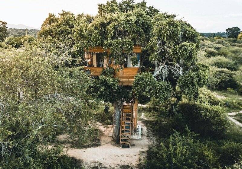 1间卧室的房子, Leopard Nest   Glamping In Yala