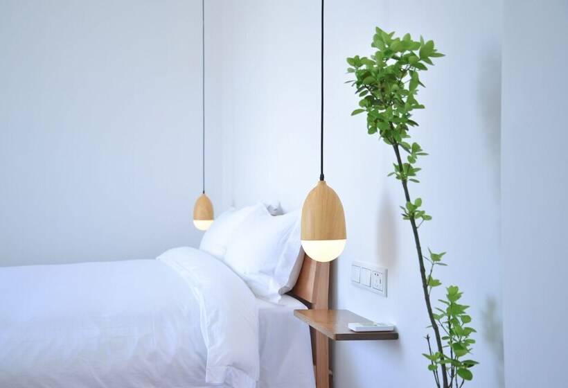 スーペリアールーム, Yo Yo House