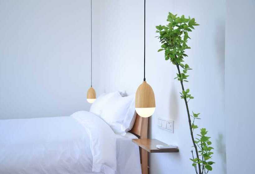 スーペリアールーム, Yo Yo House