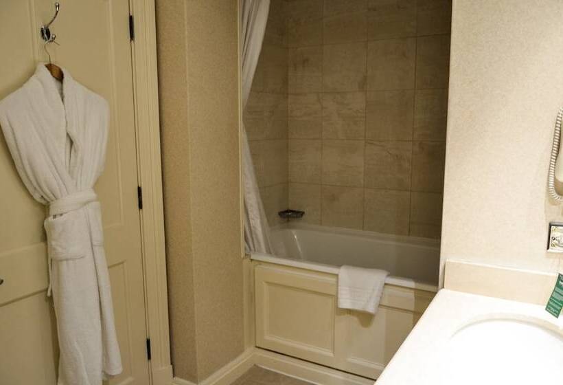 غرفة ديلوكس فردية, Melbourne Lodge