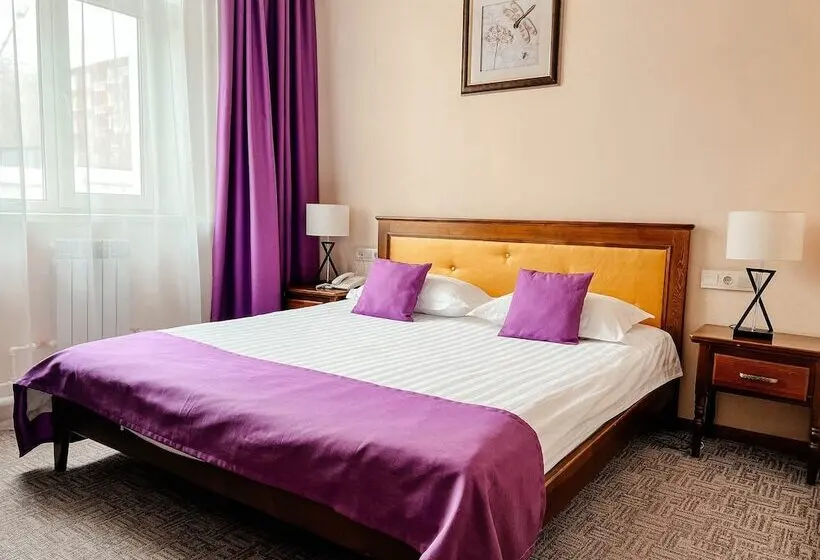 スタンダードルーム, Otel Ulan Ude