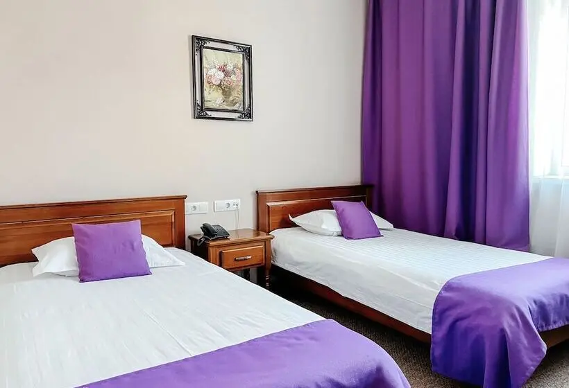 スタンダードルーム, Otel Ulan Ude