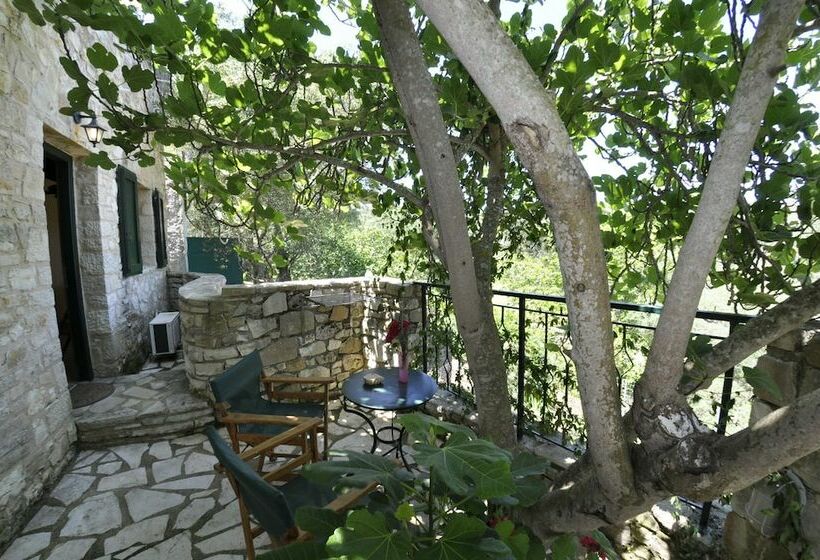 スタンダードルーム, Adamantia