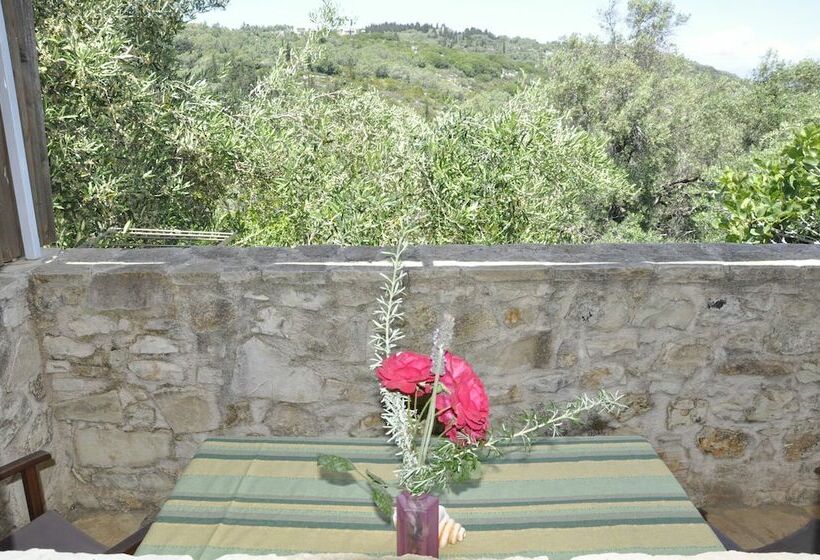 スタンダードルーム, Adamantia