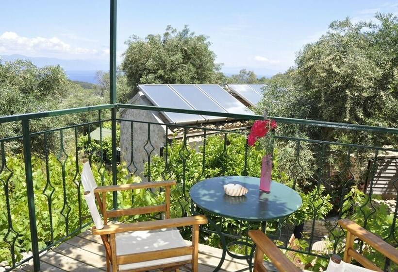 スタンダードルーム, Adamantia