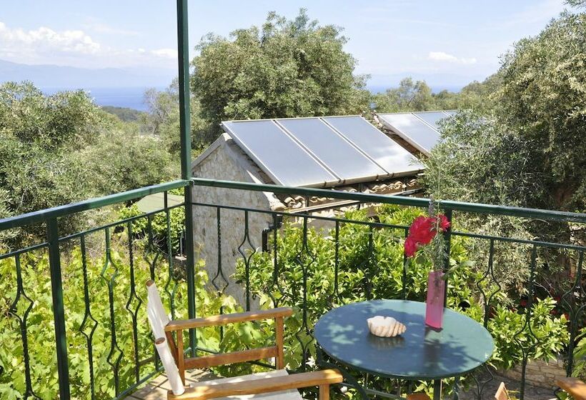 スタンダードルーム, Adamantia