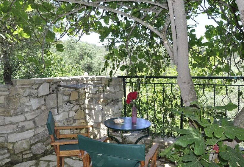 スタンダードルーム, Adamantia