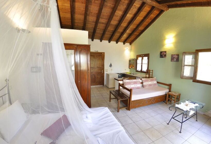 スタンダードスタジオ, Adamantia