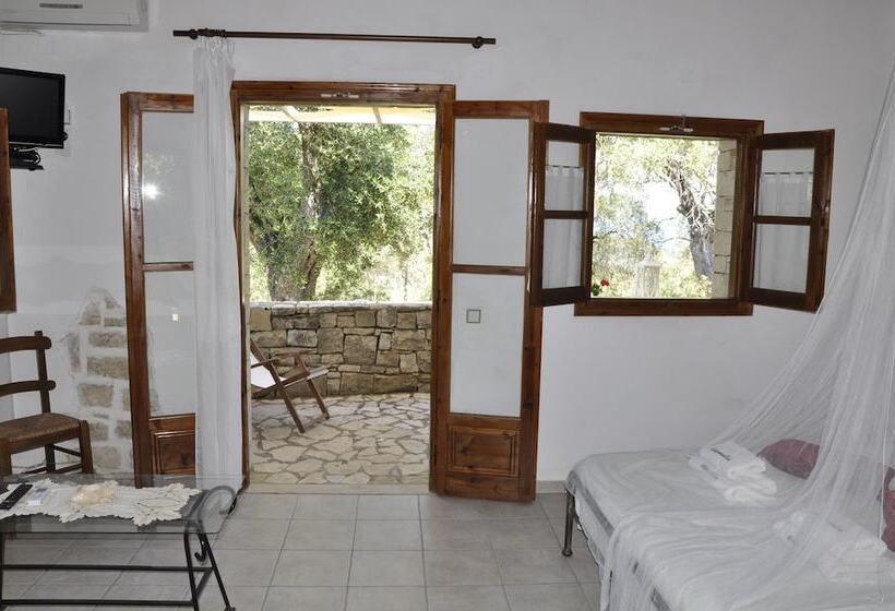 スタンダードスタジオ, Adamantia