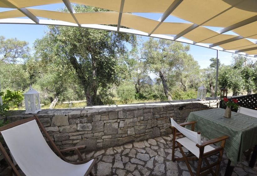 スタンダードスタジオ, Adamantia