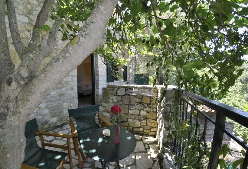 スタンダードルーム, Adamantia