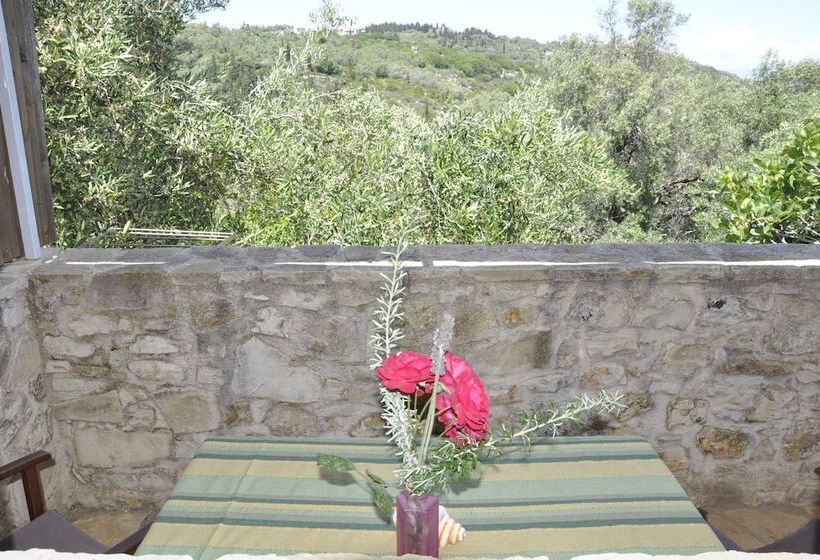 スタンダードトリプルルーム, Adamantia