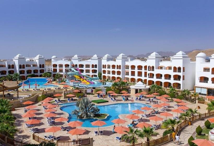 اتاق استاندارد, Naama Waves