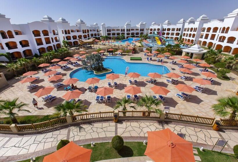 اتاق استاندارد, Naama Waves