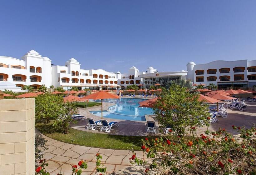 اتاق خانوادگی, Naama Waves