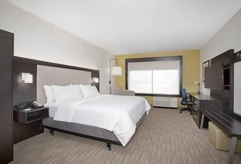 身障者適用スイートルーム, Holiday Inn Express & Suites   Ely, An Ihg