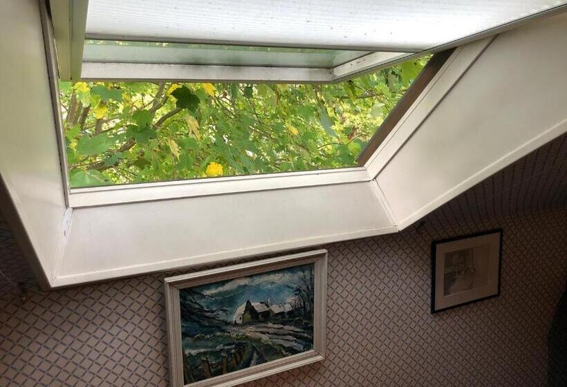 房顶倾斜的标准房间, Manoir Des Cavaliers Bnb