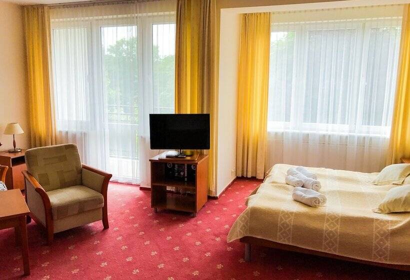 １ベッドルームアパートメント, Albatros Medical Spa