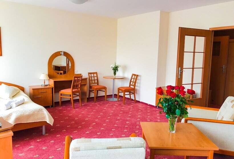 １ベッドルームアパートメント, Albatros Medical Spa