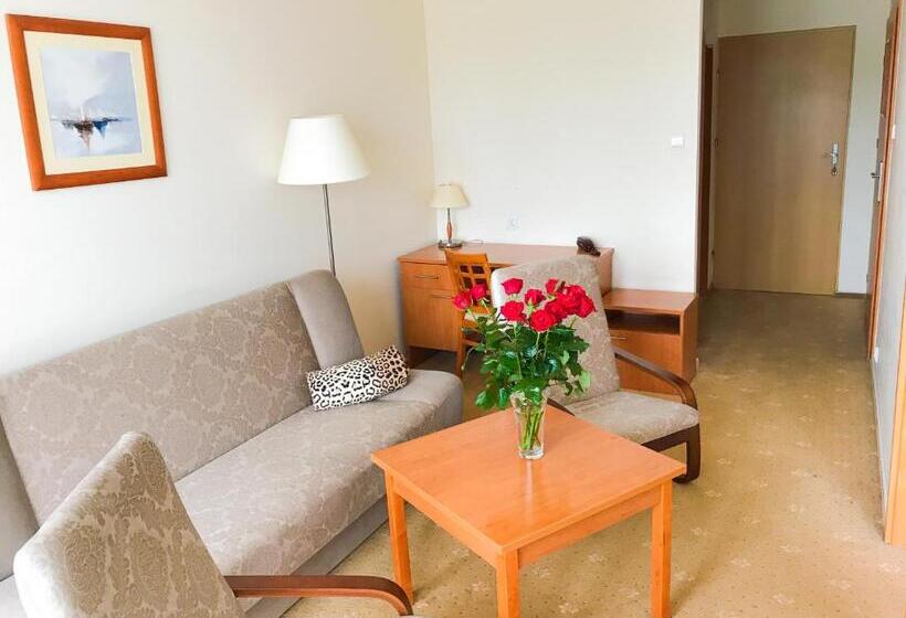 １ベッドルームアパートメント, Albatros Medical Spa