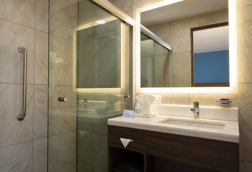 스탠다드 룸, Holiday Inn Express Merida Centro, An Ihg