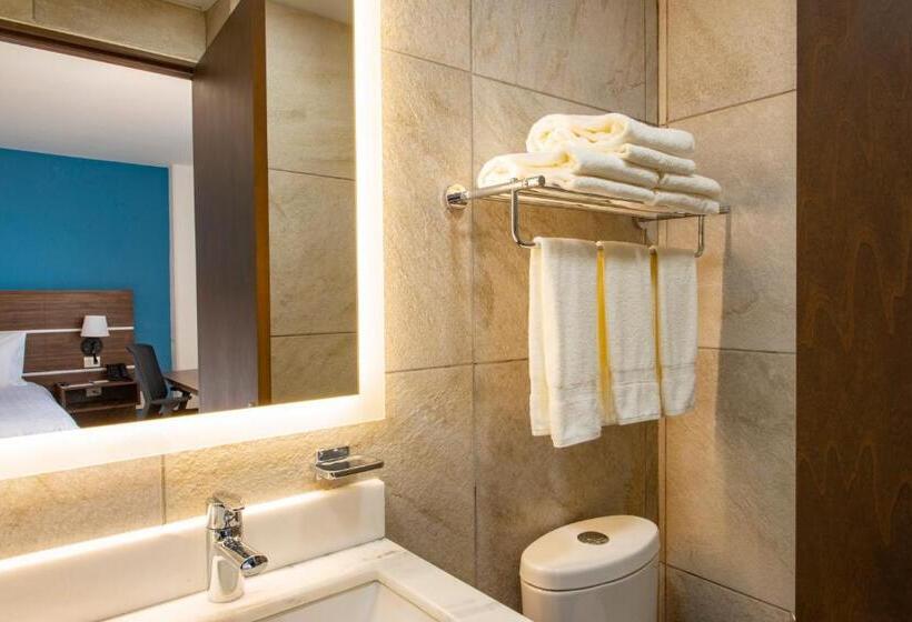 장애인을 위한 킹사이즈 침대 스탠다드 룸, Holiday Inn Express Merida Centro, An Ihg