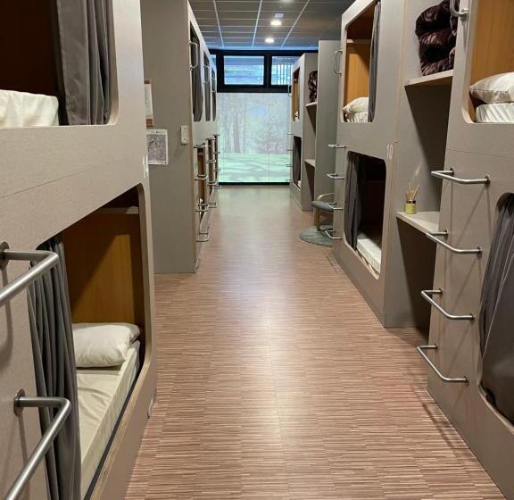 共用房间的床, Andaina