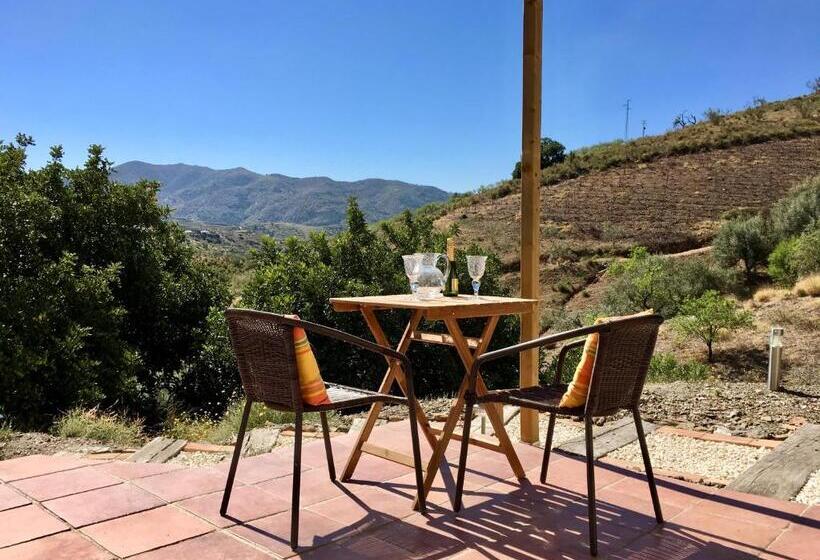 庭の見える１ベッドルームアパートメント, Apartments Cortijo La Zapatera