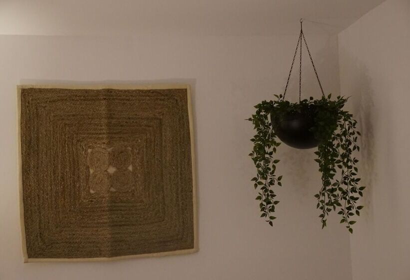 جناح جونيور مزوَّد بتراس, El Duende Del Tejar