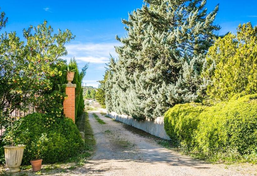 סוויטת סניור, Finca Micalas