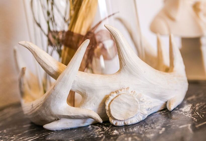 Люкс Сеньор, Finca Micalas