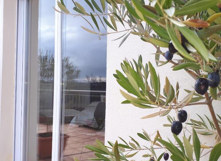 带露台的套间, Casa Miguel & Sally