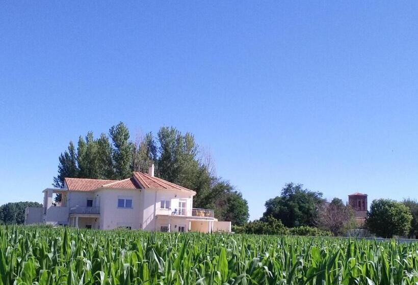 带露台的套间, Casa Miguel & Sally