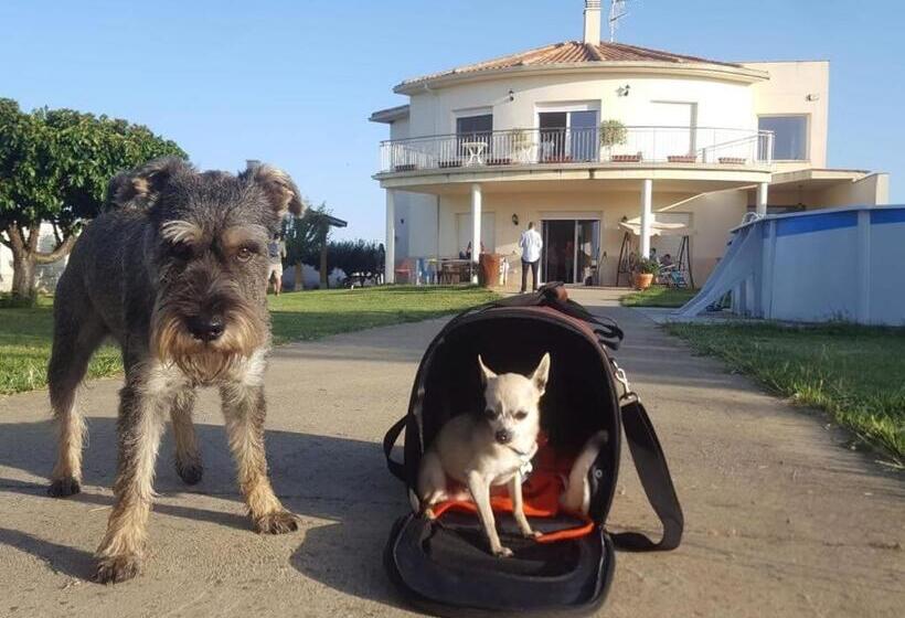 舒适三人间, Casa Miguel & Sally