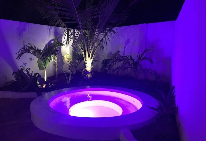 コンフォーとスイートルーム, Maisha Nungwi