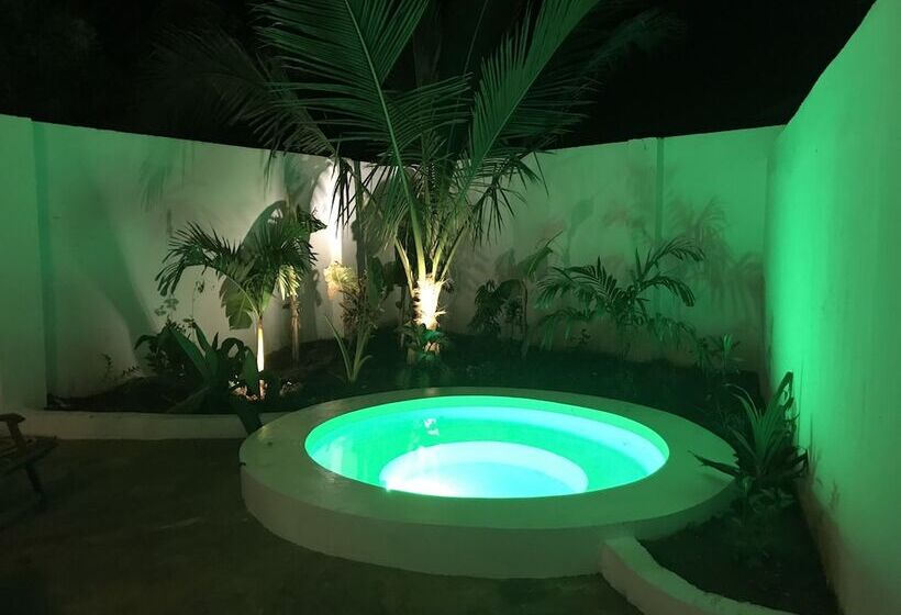 コンフォーとスイートルーム, Maisha Nungwi