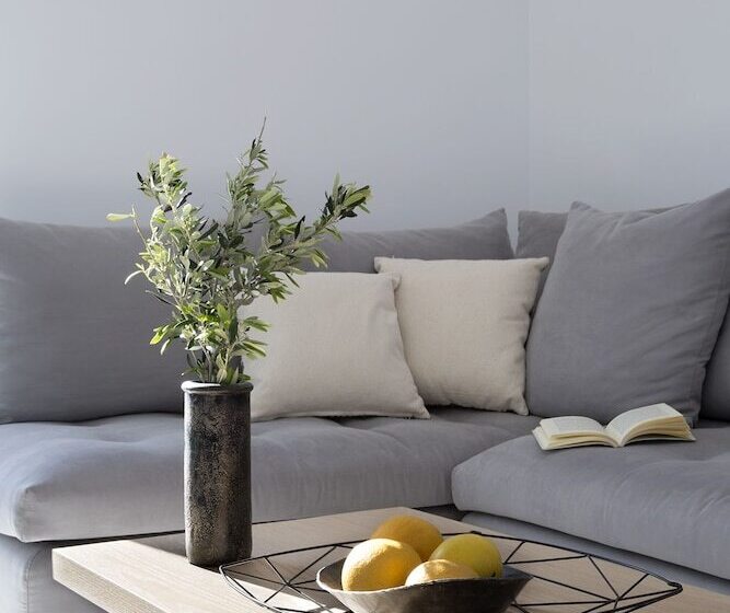 Studio Executive, Pasithea Suites