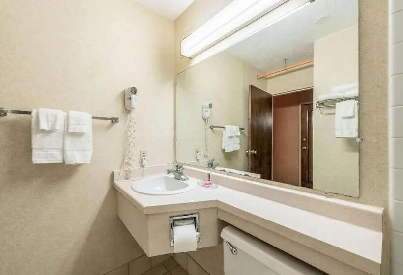 キングサイズベッドのスタンダードルーム, Econo Lodge