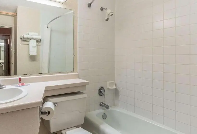 キングサイズベッドのスタンダードルーム, Econo Lodge