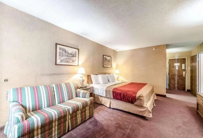 キングサイズベッドのスタンダードルーム, Econo Lodge