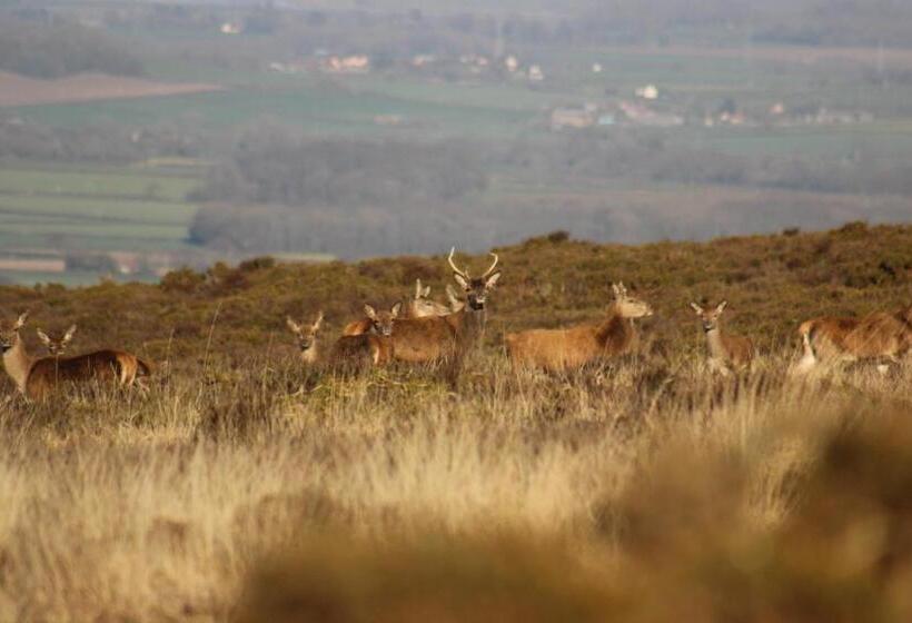 Номер Стандарт, Pardlestone Farm B&b