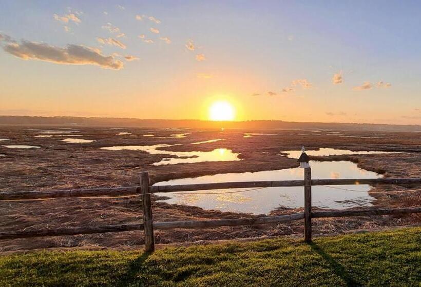 اتاق استاندارد سه تخته با بالکن, Moody S Motel And Cottages