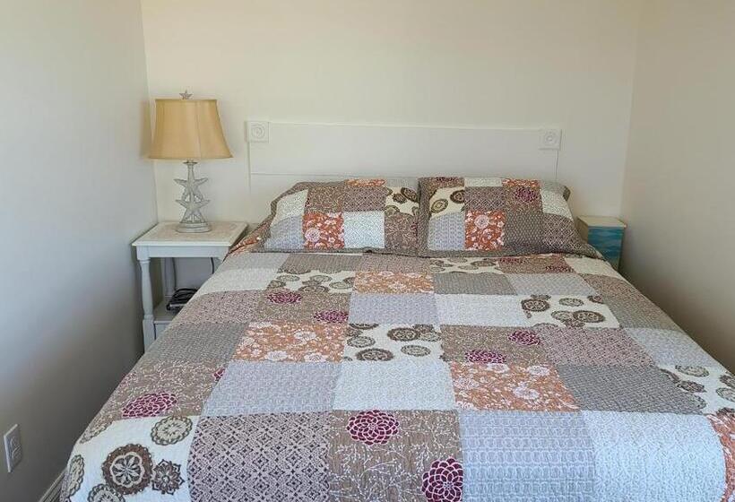 اتاق لوکس, Moody S Motel And Cottages