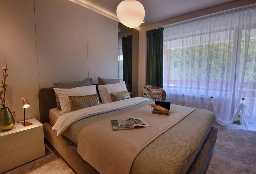 חדר סטנדרט, Sinaia