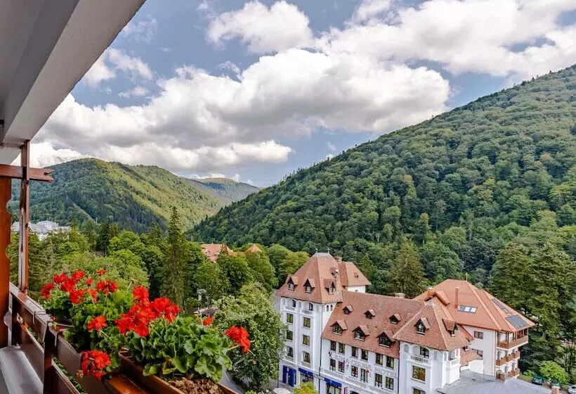 اتاق استاندارد, Sinaia
