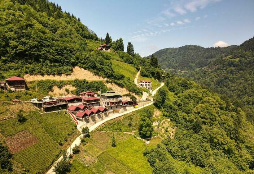 스탠다드 룸 킹사이즈 침대, Seyri Cennet Dag Evleri