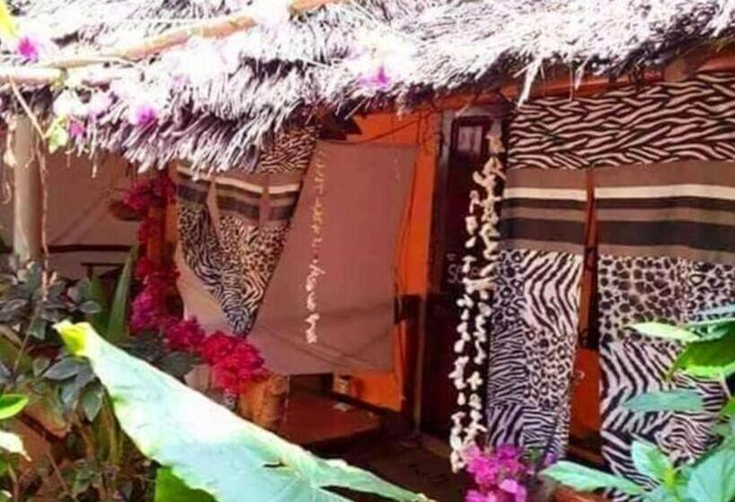 家庭海景房, Sipano Beach Lodge Kiwengwa