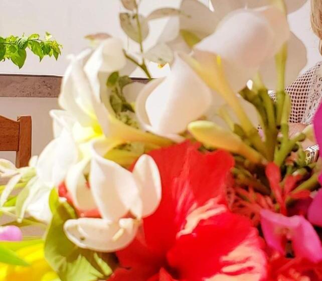 高级海景房, Sipano Beach Lodge Kiwengwa